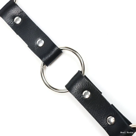 Anal Hooks and Leash with EverydayUse 5853 Hook Anal Kinky Collar 0902